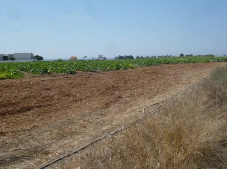 Atterrir  district de Lárnaca, Chypre