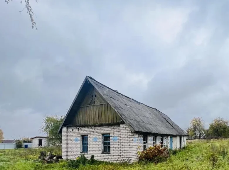 Дом 30 м² Лариновка, Беларусь
