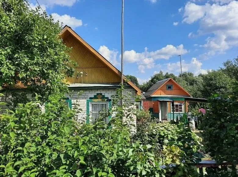 Haus 48 m² Miazanski sielski Saviet, Belarus
