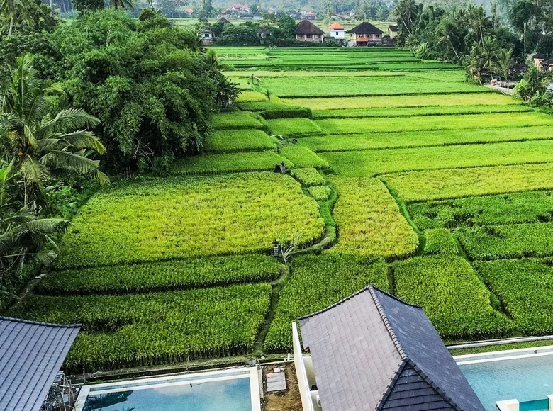 Villa de 2 habitaciones 194 m² Ubud, Indonesia
