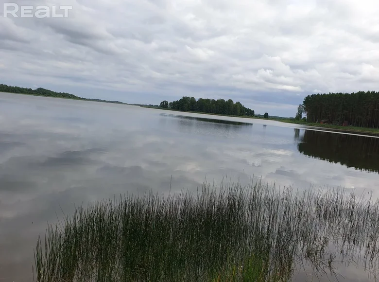 Nieruchomości komercyjne 585 m² Homielski sielski Saviet, Białoruś