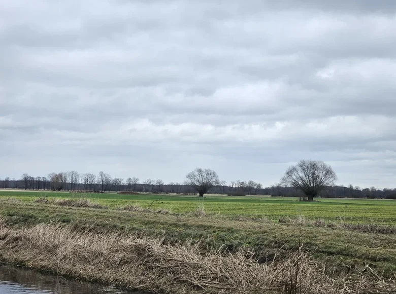 Apartment 35 858 m² Kotusz, Poland