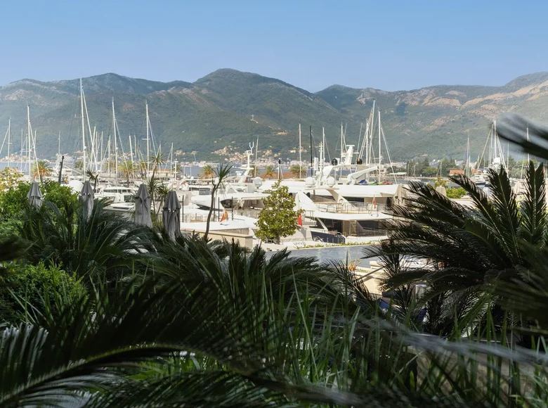 1 bedroom apartment 81 m² Montenegro, Montenegro