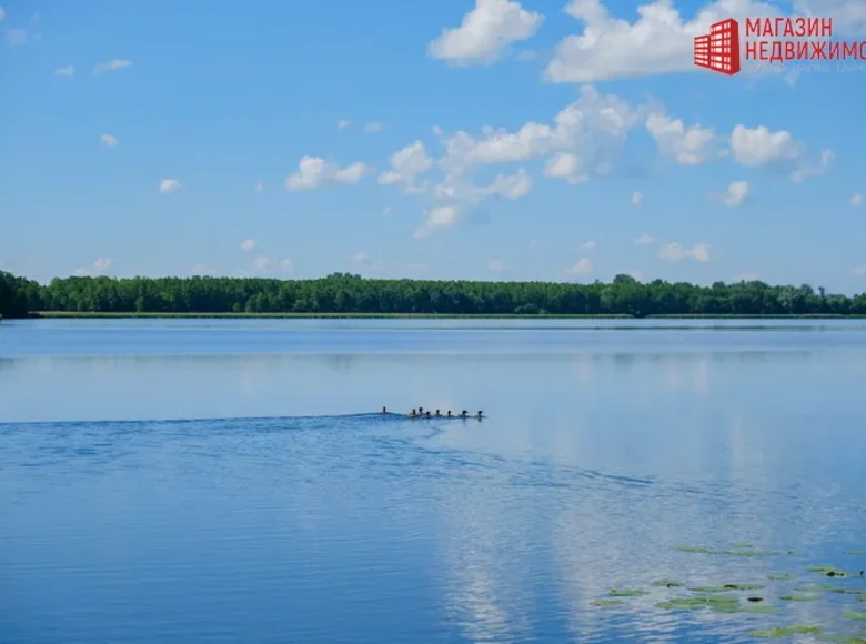 8 room house 234 m² Aziorski sielski Saviet, Belarus