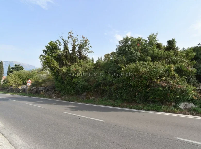Działki  Kolasin Municipality, Czarnogóra