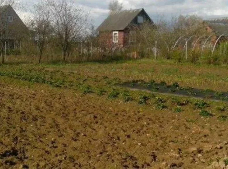 Land  Piatryskauski sielski Saviet, Belarus