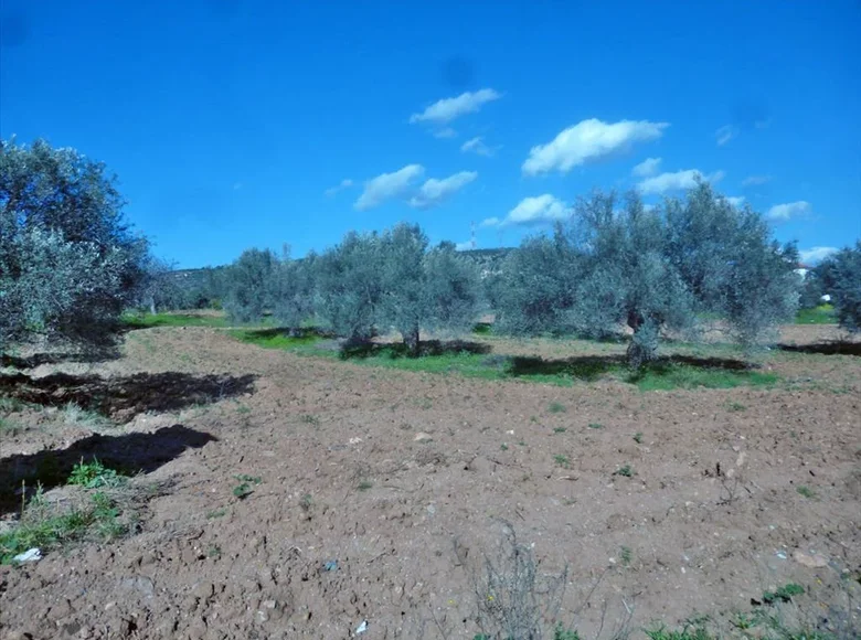 Land 1 room  Eretria Municipality, Greece