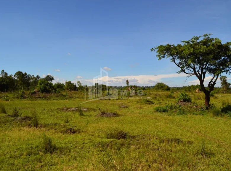 Atterrir 700 m² Tbilissi, Géorgie