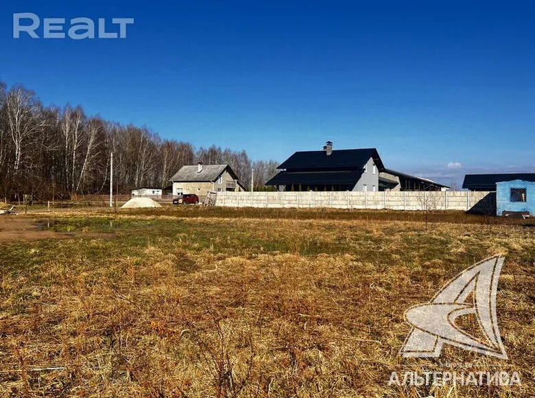 Grundstück  Telminski sielski Saviet, Belarus