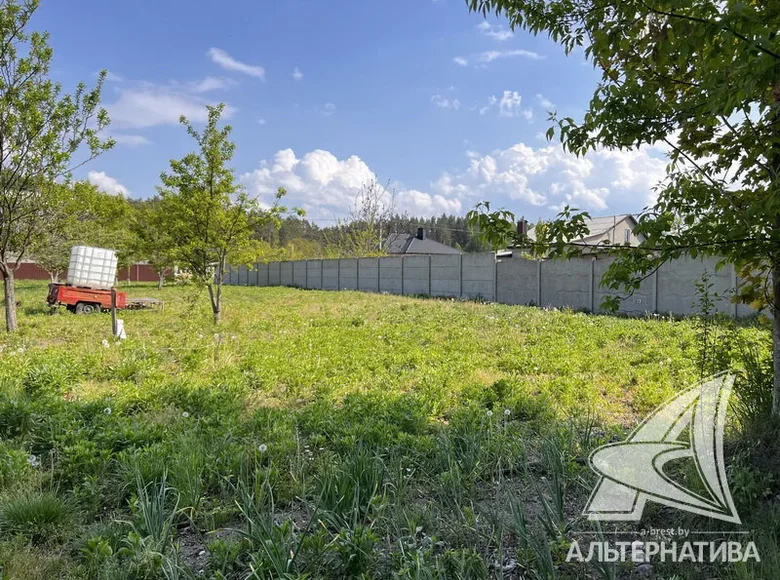 Działki  Carnaucycki sielski Saviet, Białoruś