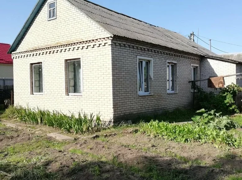 Haus 61 m² Orscha, Belarus