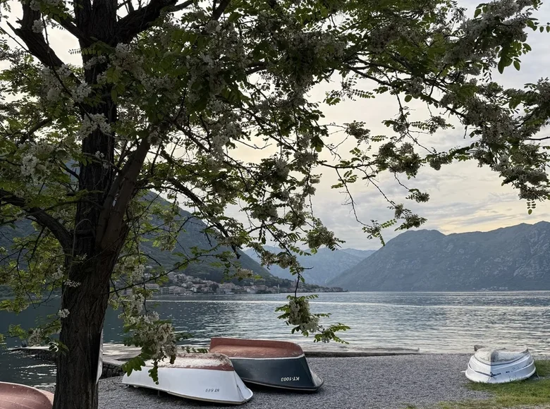 Studio 32 m² Kotor, Monténégro