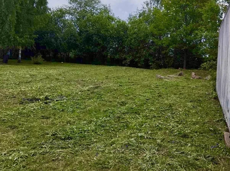 Atterrir  Januskavicki sielski Saviet, Bélarus