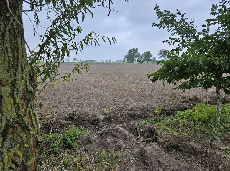 Дом 825 м² Kokorzyn, Польша