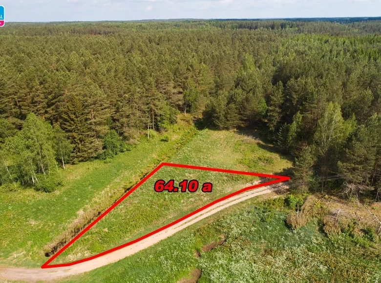 Atterrir  Bezdoniai Eldership, Lituanie