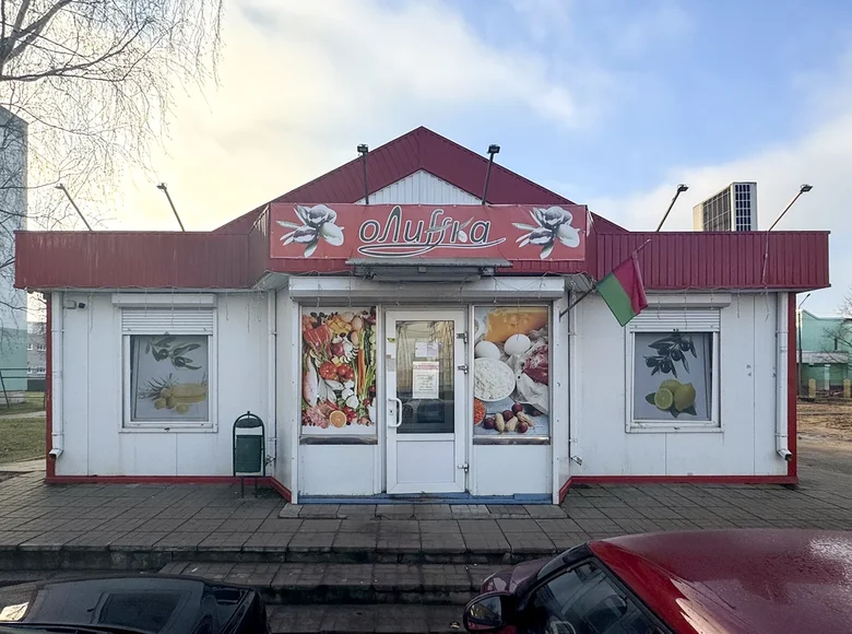 Gewerbefläche 95 m² Usda, Belarus