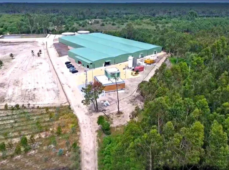 Produktion  Kanarische Inseln, Spanien