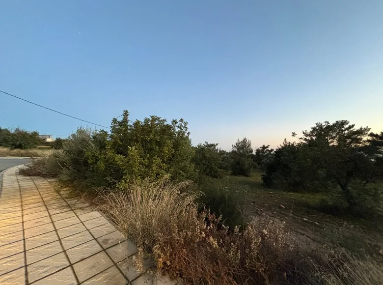 Земельные участки  Anogyra, Кипр