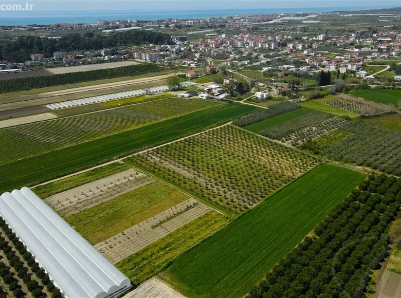 Grundstück 14 m² Colakli, Türkei