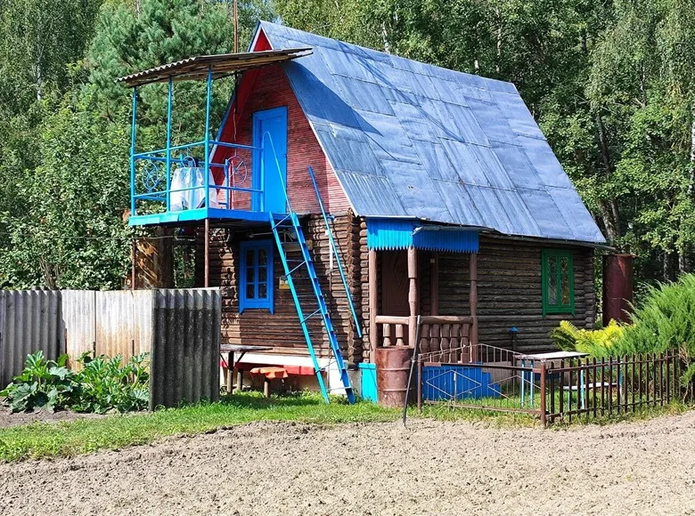 House  Dzitvianski sielski Saviet, Belarus