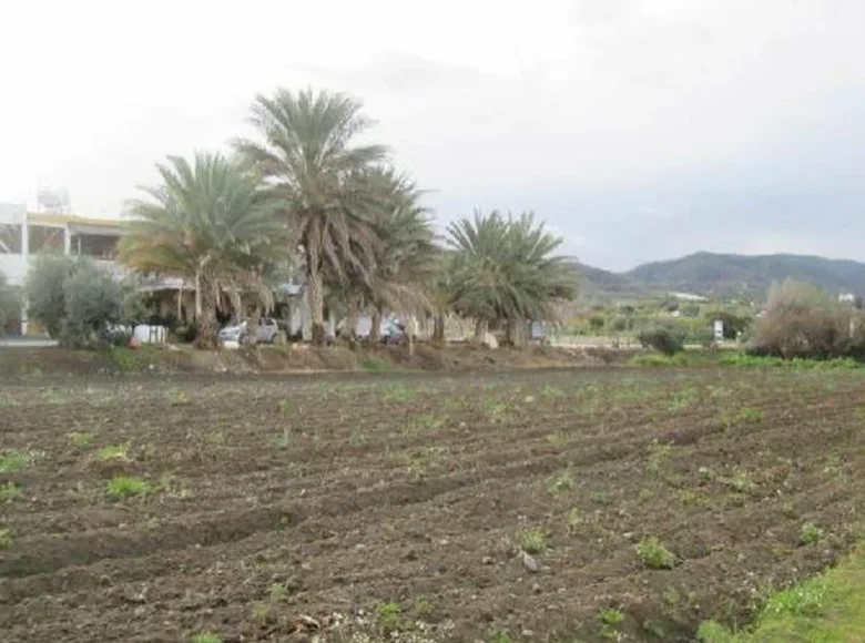 Земельные участки  муниципалитет Пафос, Кипр