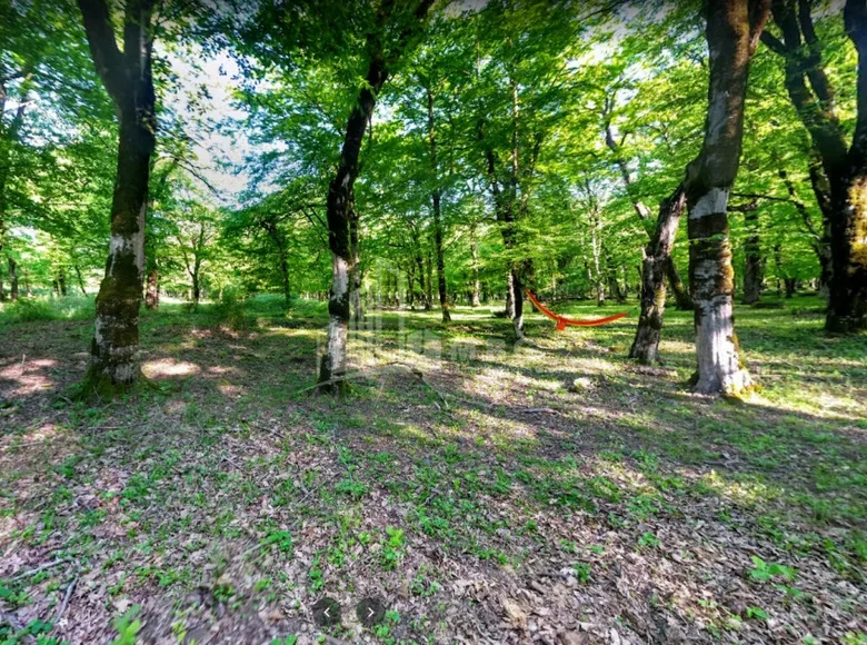 Parcelas 175 000 m² Rodinauli, Georgia