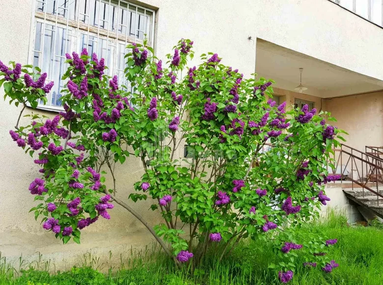 Villa 7 chambres 220 m² Tbilissi, Géorgie