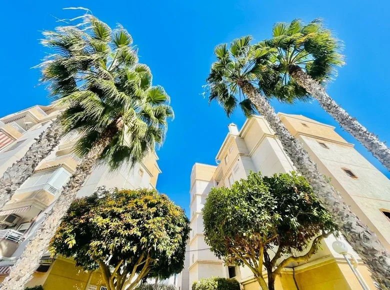 2 bedroom apartment 60 m² Torrevieja, Spain