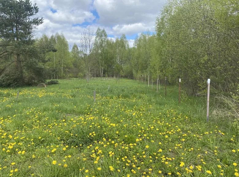 House  Zarecca, Belarus