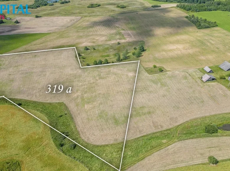 Grundstück  Vazgunai, Litauen