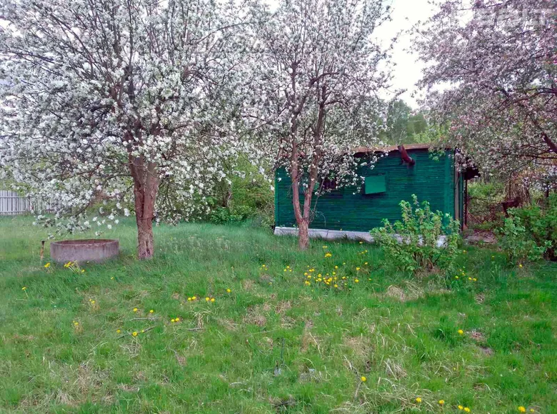 Grundstück  Carnaucycki sielski Saviet, Belarus