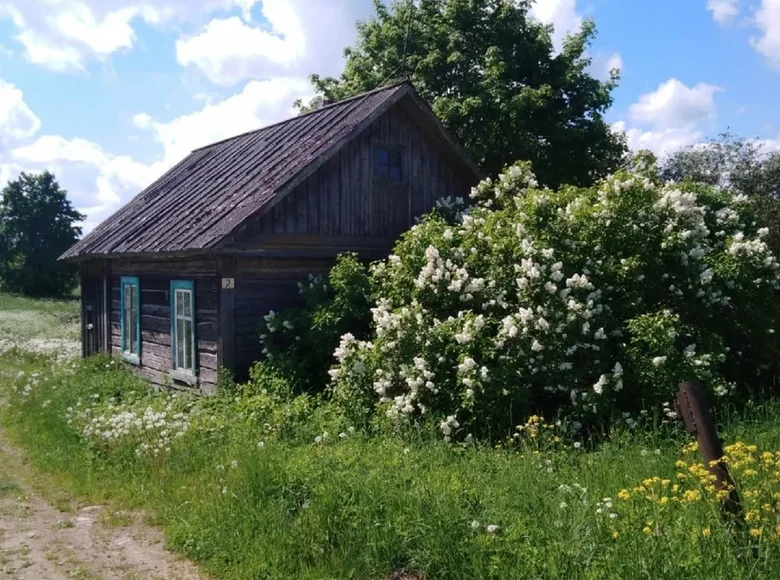 Дом 2 комнаты 34 м² Беседа, Россия