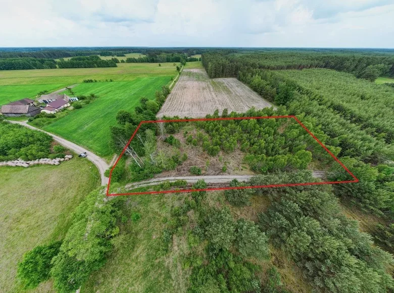 Atterrir 6 800 m² Smolice, Pologne
