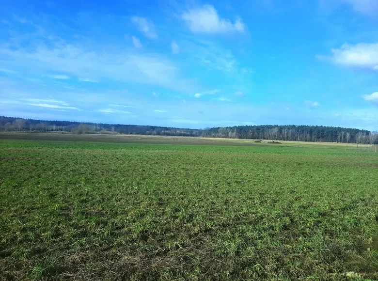 Działki 3 025 m² Garby, Polska