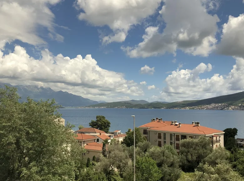 Apartamento 1 habitacion 49 m² Baosici, Montenegro