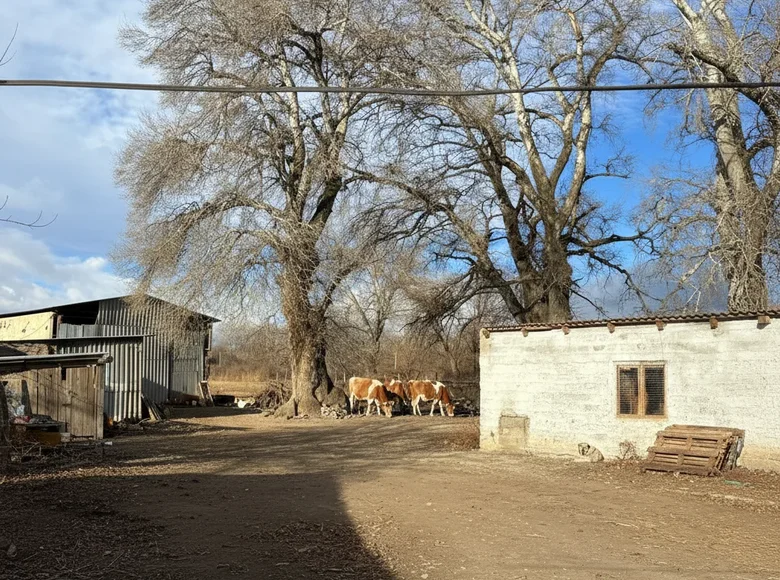 Turnkey 3-Hectare Farm for Sale Near Tbilisi – Ready for Foreign Investors