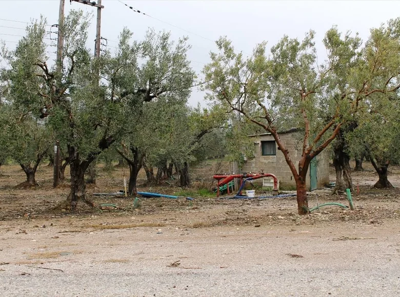 Atterrir 1 chambre 5 500 m² Gerakini, Grèce