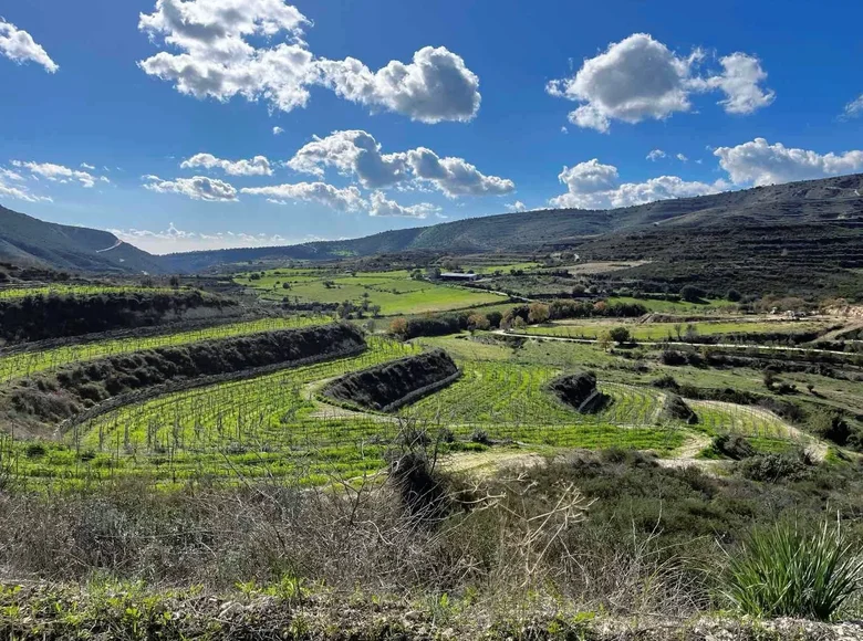 Apartment  Ayios Amvrosios, Cyprus