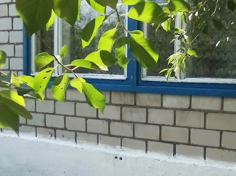 House 80 m² Praskurni, Belarus