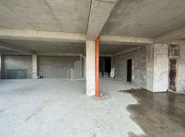 Gewerbefläche 300 m² Tiflis, Georgien