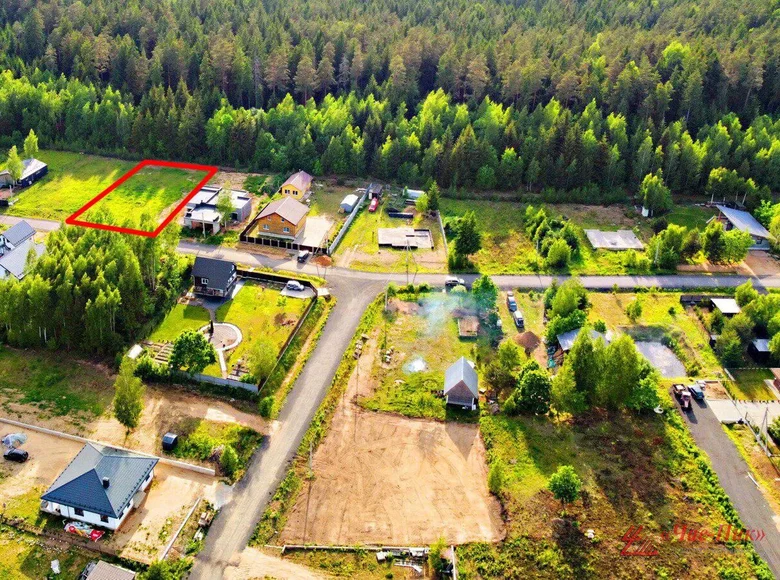 Atterrir  Zdanovicki sielski Saviet, Bélarus