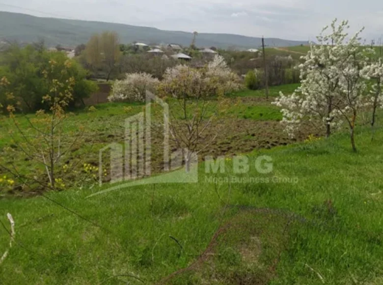 Atterrir 3 000 m² Tbilissi, Géorgie