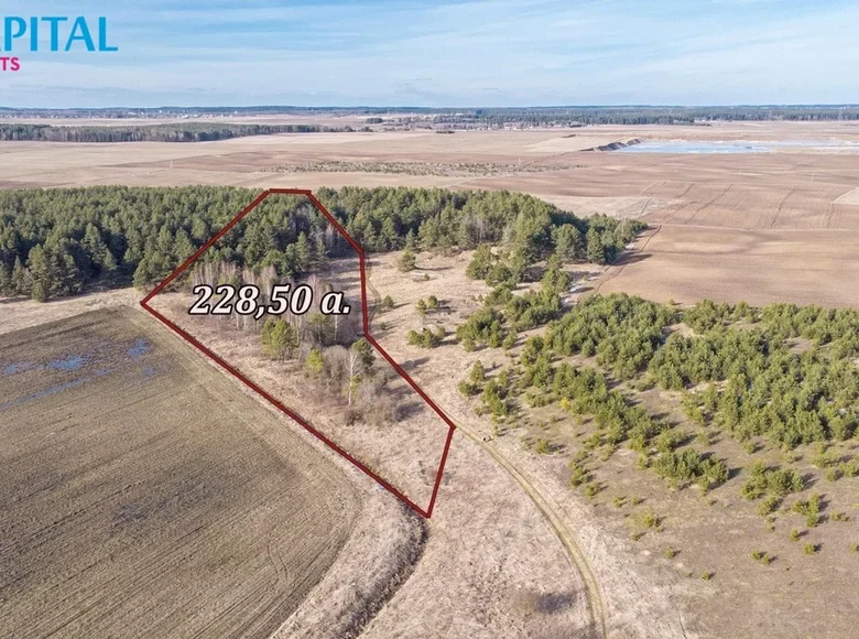 Atterrir  Senasis Tarpupis, Lituanie