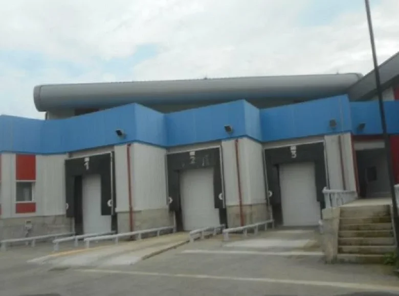 Warehouse 2 390 m² in Nisou, Cyprus