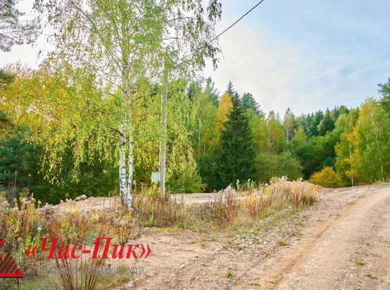 Land  Ozyaritska-Slabadski rural council, Belarus