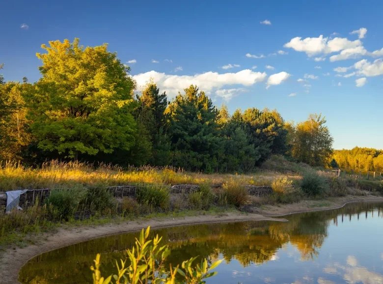 Дом 18 973 м² Przylek, Польша