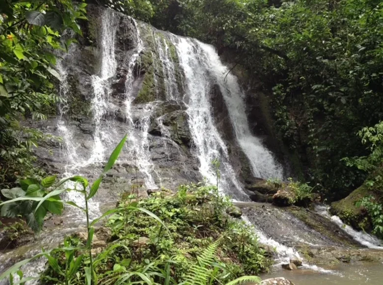 Strategic Natural Capital Asset