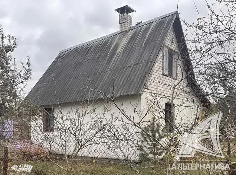 Haus 30 m² Kamianica Zyravieckaja, Belarus