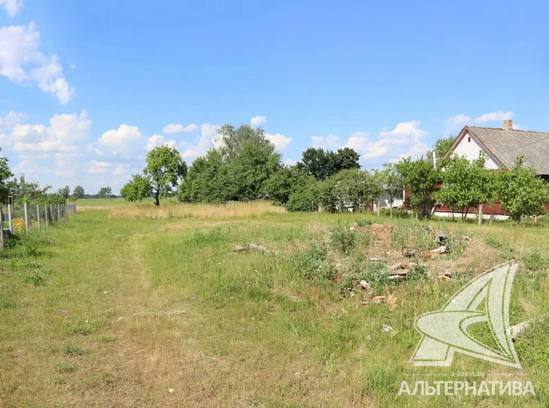 Haus 50 m² Rakitnicki sielski Saviet, Belarus