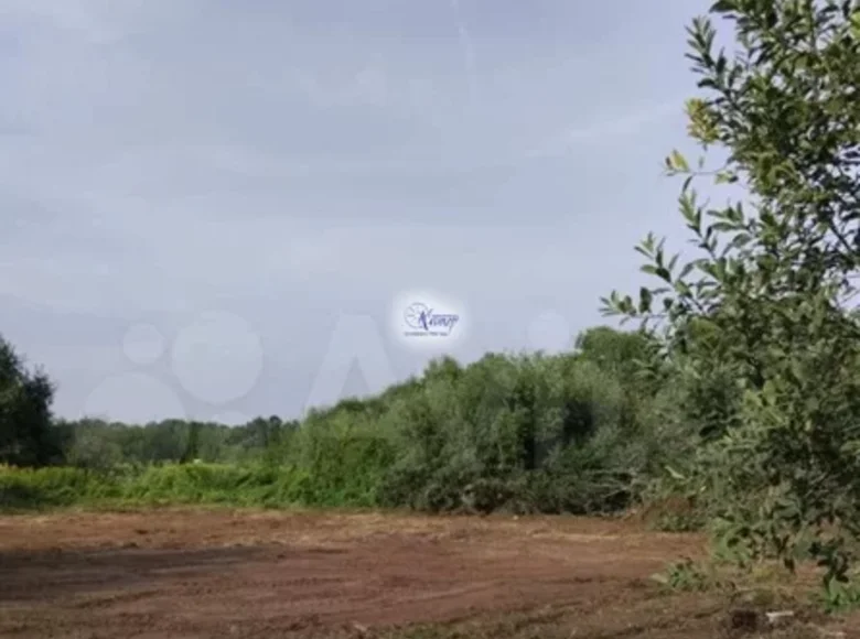 Land  Kaliningrad, Russia